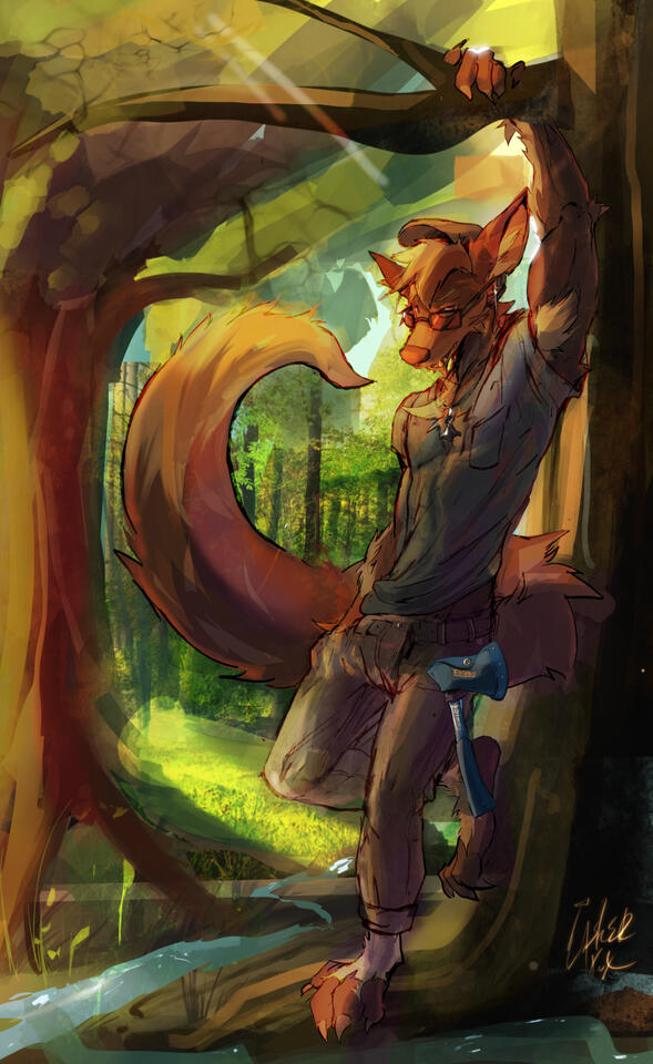 Nature SFW - Lasker Fox